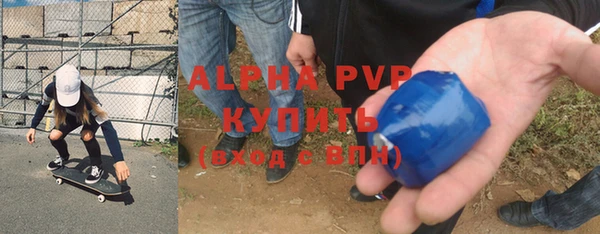 PSILOCYBIN Абаза