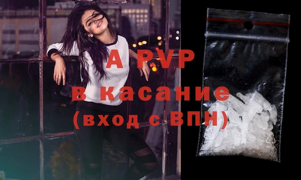 PSILOCYBIN Абаза