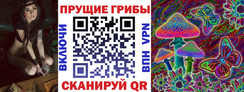 Галлюциногенные грибы Psilocybine cubensis  продажа наркотиков  Сергач 